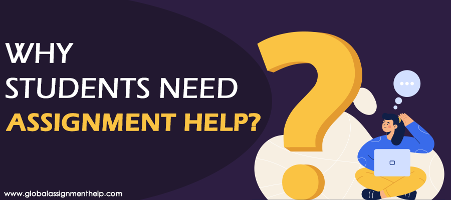 Why Students Need Assignment Help?